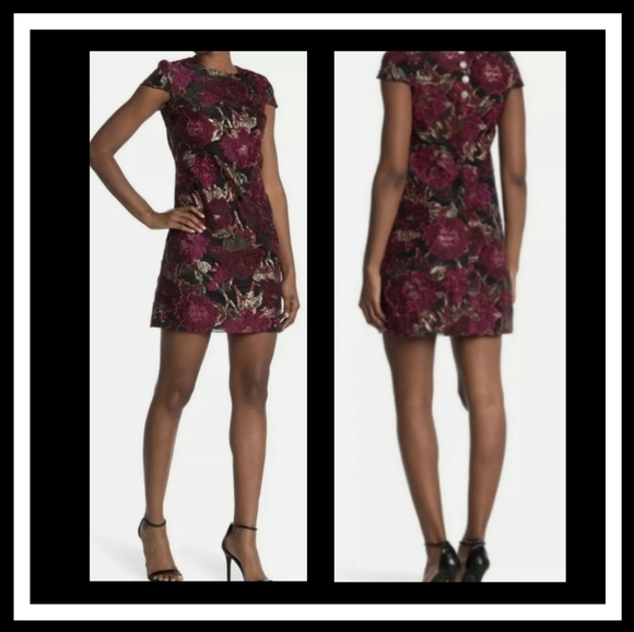 Sam Edelman Velour Vintage Inspired Burnout Dress Size 8 - Picture 1 of 14
